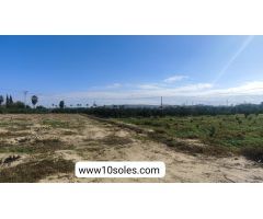 Finca rustica en Venta en Jacarilla, Alicante