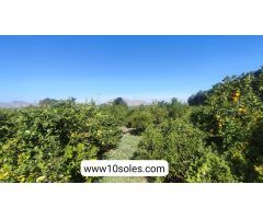 Finca rustica en Venta en Jacarilla, Alicante