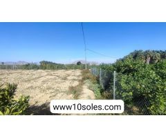 Finca rustica en Venta en Jacarilla, Alicante