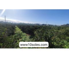 Finca rustica en Venta en Jacarilla, Alicante