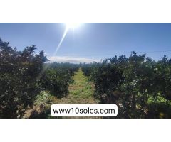 Finca rustica en Venta en Jacarilla, Alicante