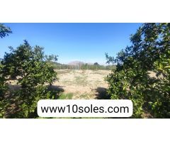 Finca rustica en Venta en Jacarilla, Alicante