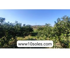 Finca rustica en Venta en Jacarilla, Alicante