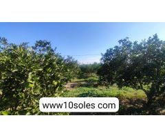 Finca rustica en Venta en Jacarilla, Alicante