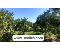 Finca rustica en Venta en Jacarilla, Alicante