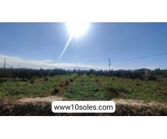 Finca rustica en Venta en Jacarilla, Alicante