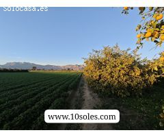 Finca rustica en Venta en Orihuela, Alicante