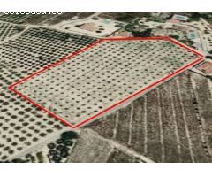 ¡Oportunidad única! Parcela rústica de 12.157 m² en El Rebolledo, Alicante