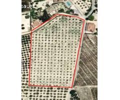 ¡Oportunidad única! Parcela rústica de 12.157 m² en El Rebolledo, Alicante