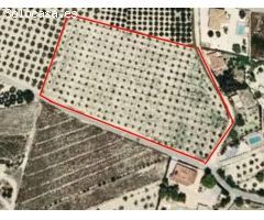 ¡Oportunidad única! Parcela rústica de 12.157 m² en El Rebolledo, Alicante