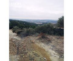 terreno Agrario