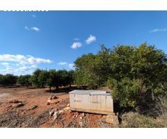 Terreno rural en Venta en La Vall dUixo, Castellón