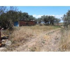 Terreno rural en Venta en Castellon - Castello de la Plana, Castellón