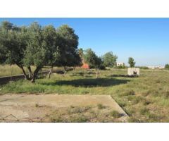 Terreno rural en Venta en Castellon - Castello de la Plana, Castellón