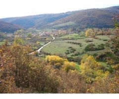 Solar urbano en Venta en Riocavado de la Sierra, Burgos
