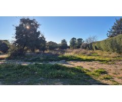 Espectacular parcela de 2129m2 de superficie