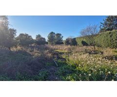 Espectacular parcela de 2129m2 de superficie