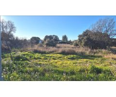 Parcela de 1874m2 en la que construir el chalet de tus sueños