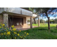Chalet señorial para reformar