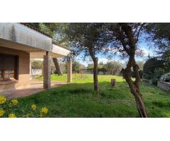 Chalet señorial para reformar