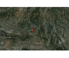 APROVECHA ESTA OPORTUNIDAD Y CONVIERTETE EN PROPIETARIO DE UNA FINCA RUSTICA DE SECANO