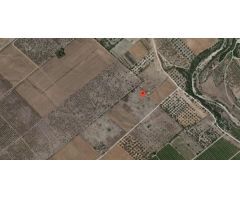 Finca rústica en Traiguera sin cultivo ni arbolado