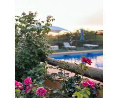 Amplia  finca en venta en Coín, Málaga