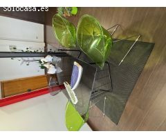 PISO CENTRO CASTELLON