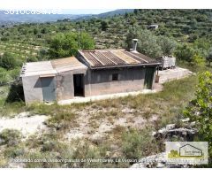 Finca rustica en Venta en Borriol, Castellón