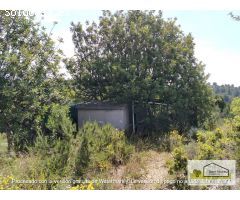 Finca rustica en Venta en Borriol, Castellón