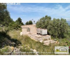 Finca rustica en Venta en Borriol, Castellón