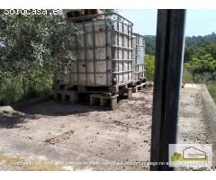 Finca rustica en Venta en Borriol, Castellón