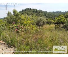 Finca rustica en Venta en Borriol, Castellón
