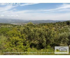 Finca rustica en Venta en Borriol, Castellón