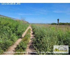 Finca rustica en Venta en La Salzadella, Castellón
