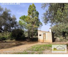 Finca rustica en Venta en San Mateo, Castellón