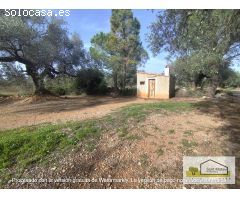 Finca rustica en Venta en San Mateo, Castellón
