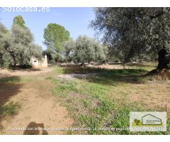 Finca rustica en Venta en San Mateo, Castellón
