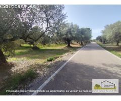 Finca rustica en Venta en San Mateo, Castellón