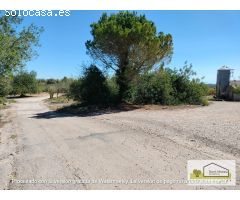 Nave en Venta en Cervera del Maestre, Castellón