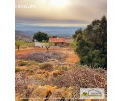 Finca rustica en Venta en Sarratella, Castellón