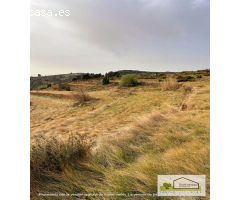 Finca rustica en Venta en Sarratella, Castellón