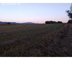 Finca rustica en Venta en San Mateo, Castellón