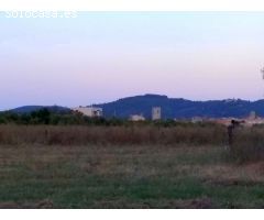 Finca rustica en Venta en San Mateo, Castellón