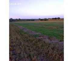 Finca rustica en Venta en San Mateo, Castellón