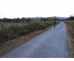 Finca rustica en Venta en San Mateo, Castellón