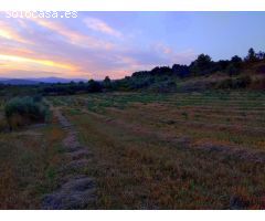 Finca rustica en Venta en San Mateo, Castellón
