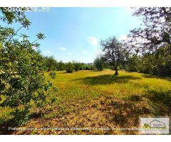 Finca rustica en Venta en San Mateo, Castellón