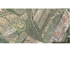Finca rustica en Venta en San Mateo, Castellón