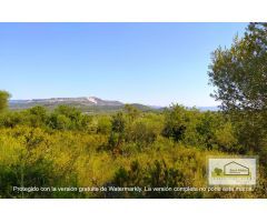 Finca rustica en Venta en San Mateo, Castellón